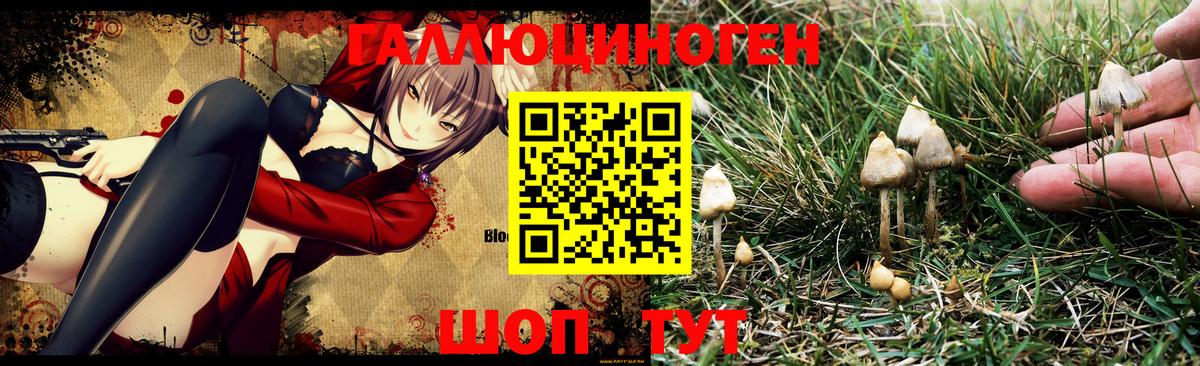 Псилоцибиновые грибы мухоморы Шелехов