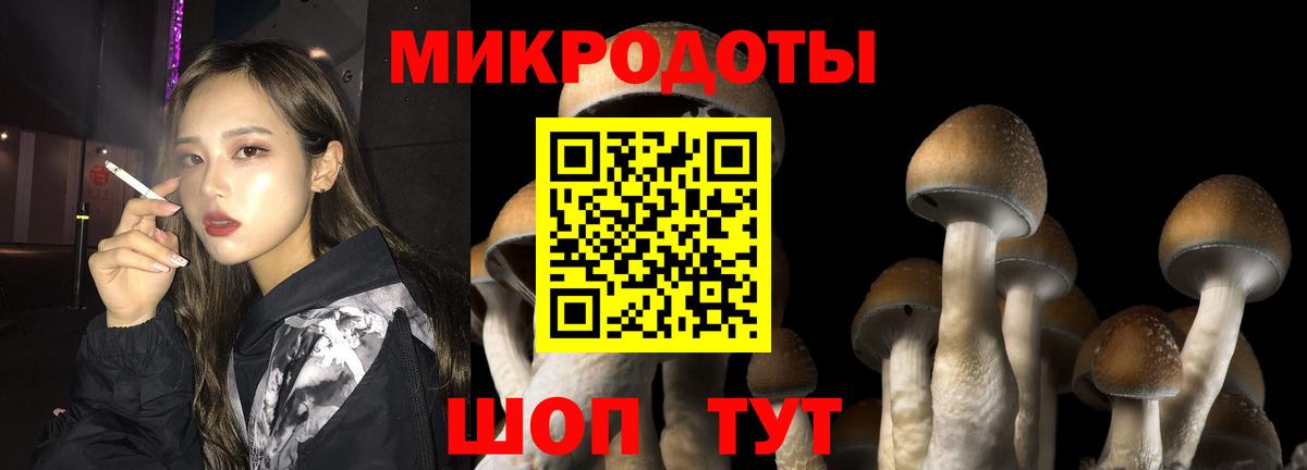 Шелехов  Галлюциногенные грибы мицелий  Вход с VPN  Галлюциногенные грибы Psilocybe 