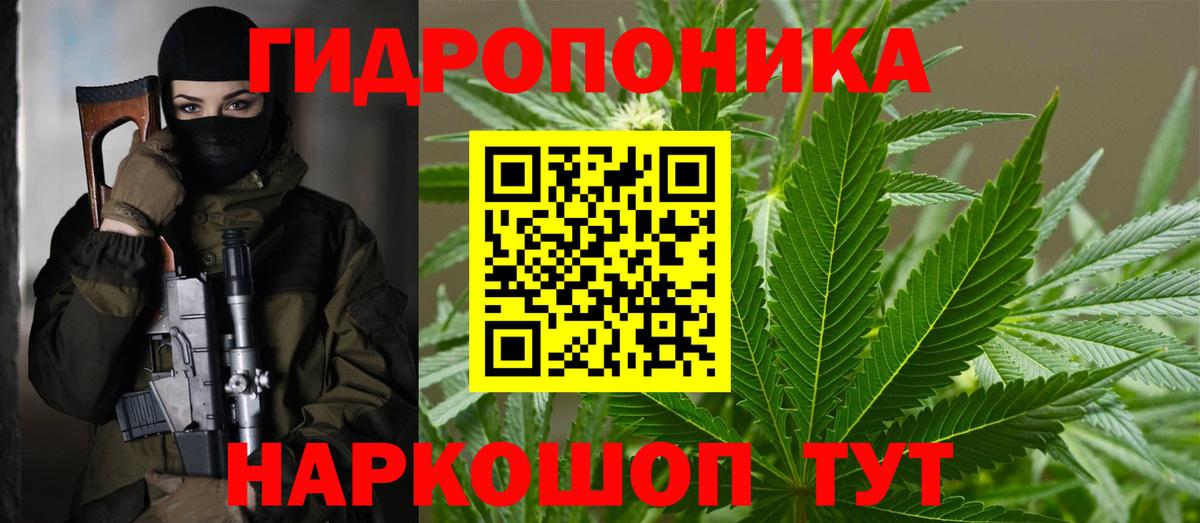 Каннабис план  Вход с VPN  Шелехов  Конопля THC 21% 